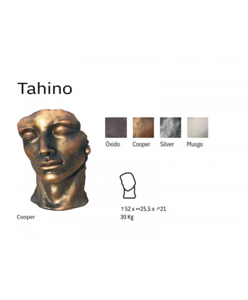 FIGURA JARDIN TAHINO CARA...