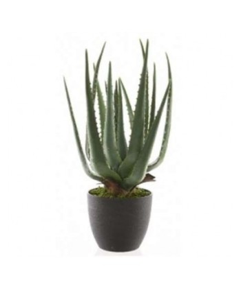 ALOE 23 HOJAS ARTIFICIAL EN...