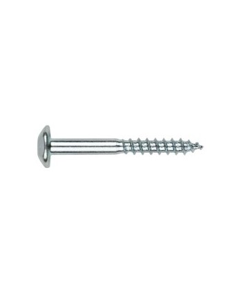 TORNILLO INVIOLABLE 6X70 100UD